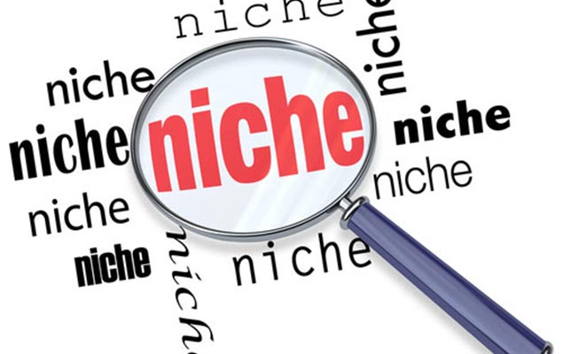 Find-Your-Niche